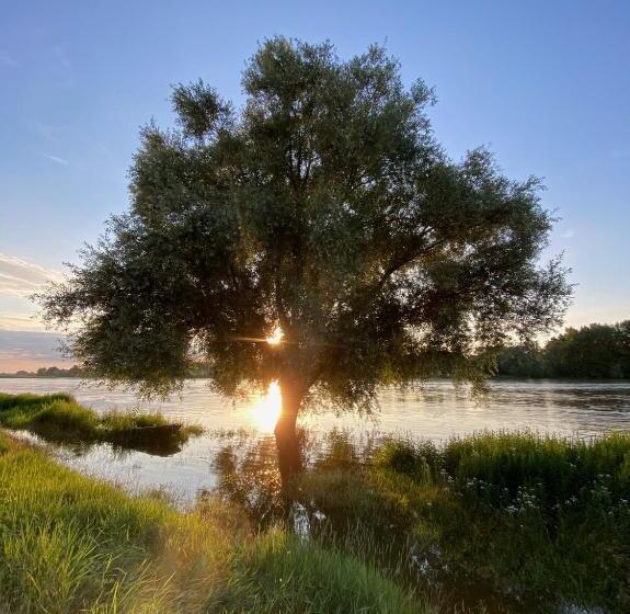 פנסיון Le Motu Loire