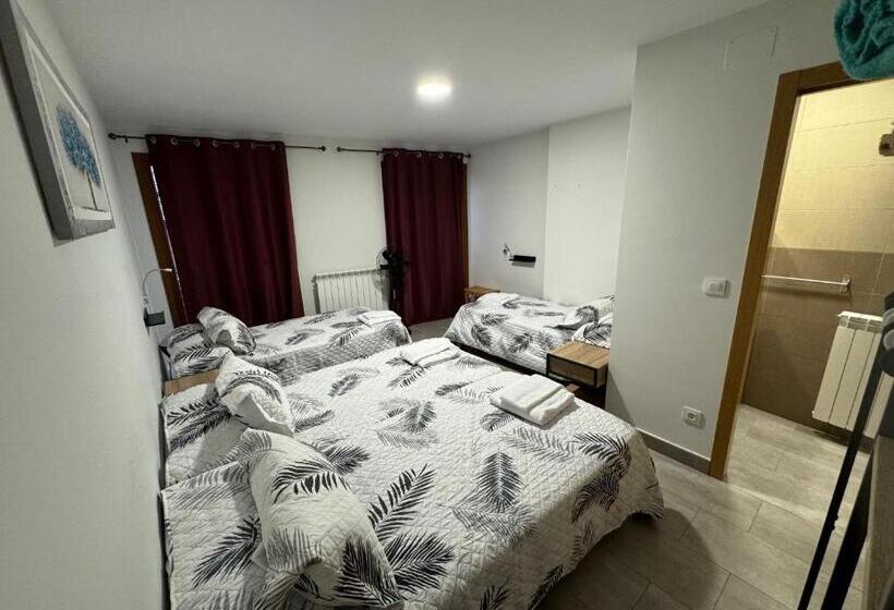 هاستل Carpe Viam