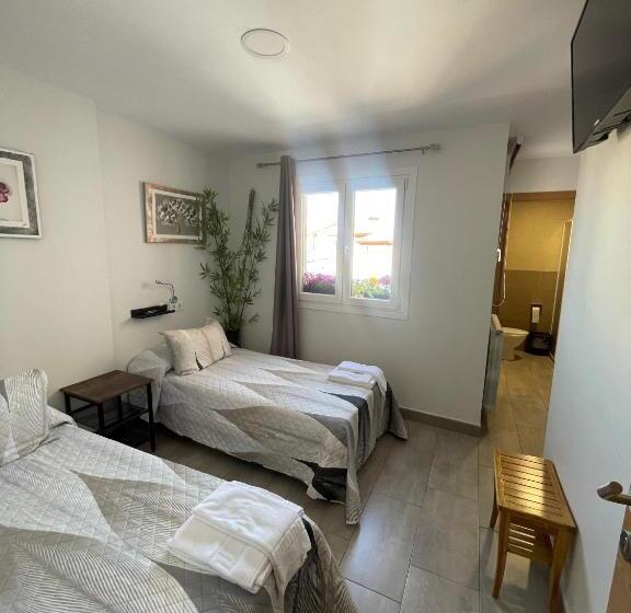 هاستل Carpe Viam