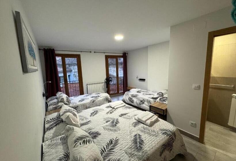 هاستل Carpe Viam