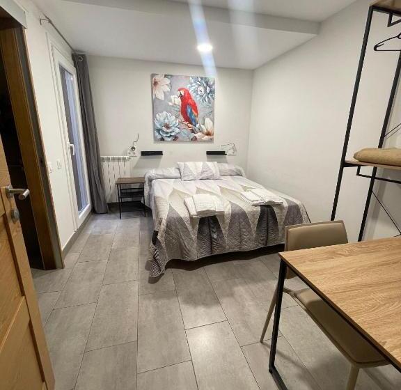 هاستل Carpe Viam