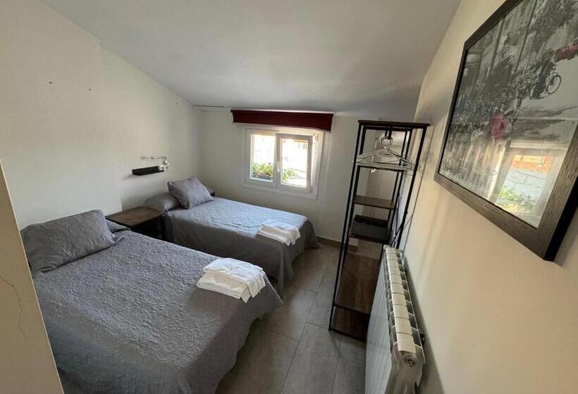 هاستل Carpe Viam