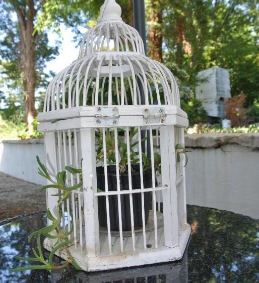 مبيت وإفطار Campagnoli