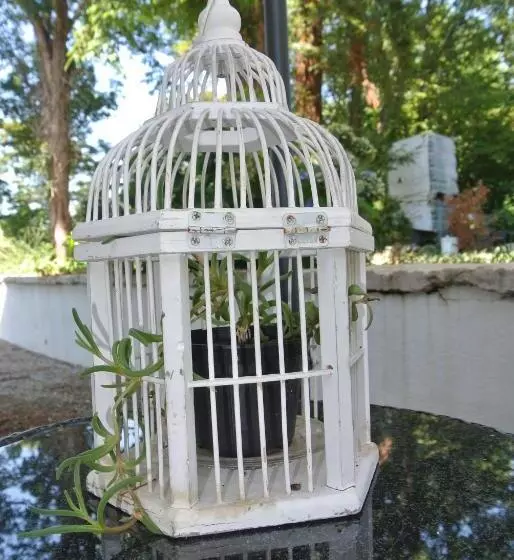 Bed and Breakfast Campagnoli