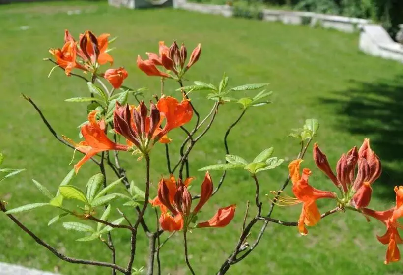 Bed and Breakfast Campagnoli