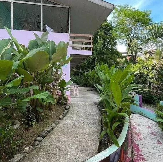 تختخواب و صبحانه Planet B Hostel Adults Only