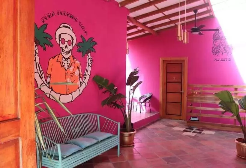 تختخواب و صبحانه Planet B Hostel Adults Only