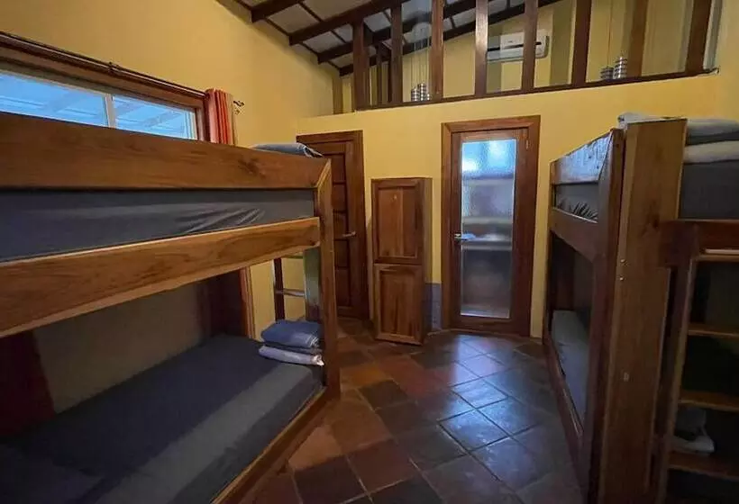 تختخواب و صبحانه Planet B Hostel Adults Only