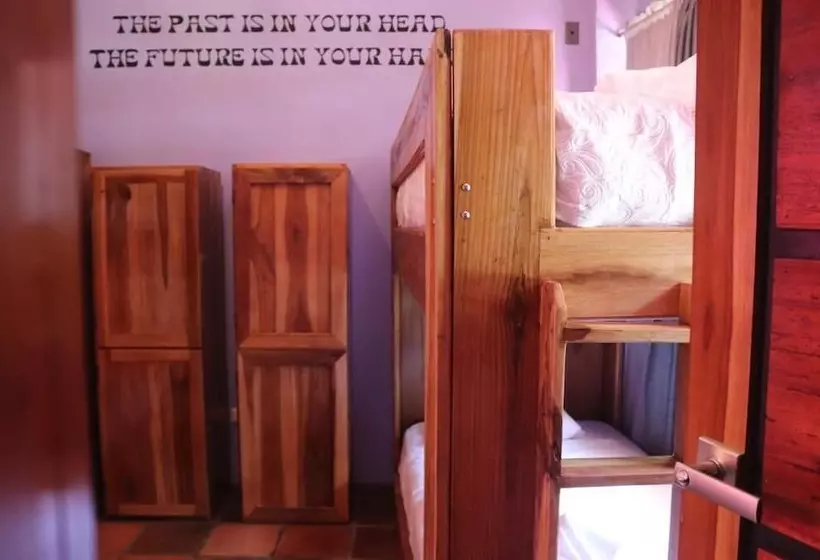 تختخواب و صبحانه Planet B Hostel Adults Only