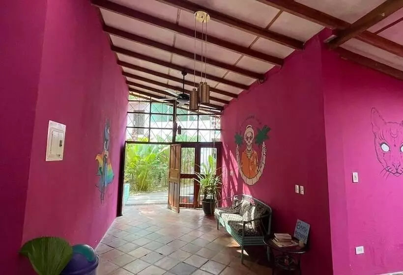 تختخواب و صبحانه Planet B Hostel Adults Only