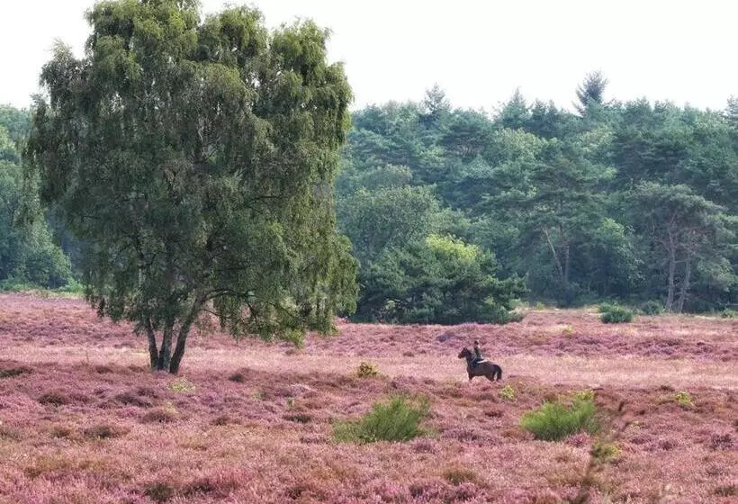 Majatalo B&b De Sfeerhoeve