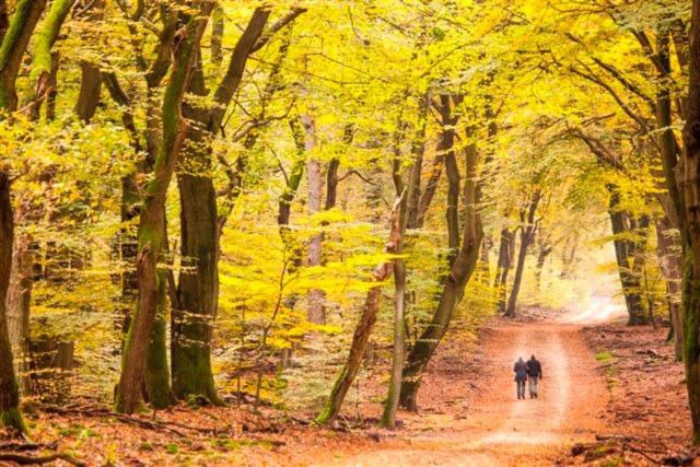 膳宿费 B&b De Sfeerhoeve