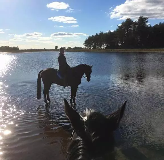 Majatalo B&b De Sfeerhoeve