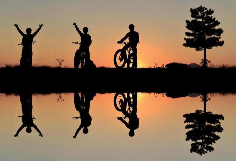 膳宿费 B&b De Sfeerhoeve