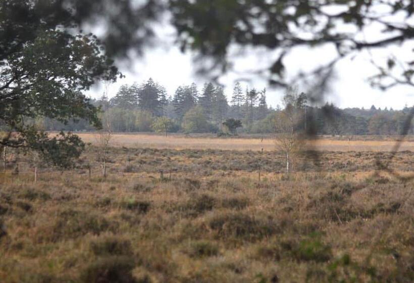 膳宿费 B&b De Sfeerhoeve