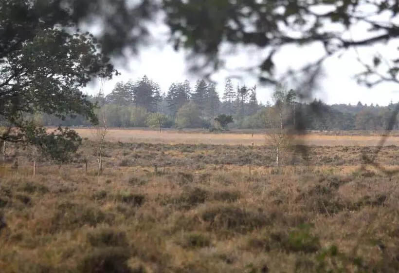 Majatalo B&b De Sfeerhoeve