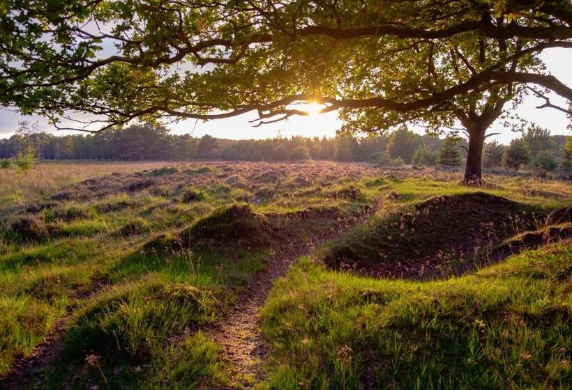 膳宿费 B&b De Sfeerhoeve