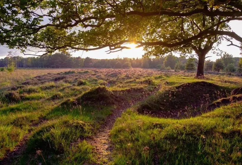 Majatalo B&b De Sfeerhoeve