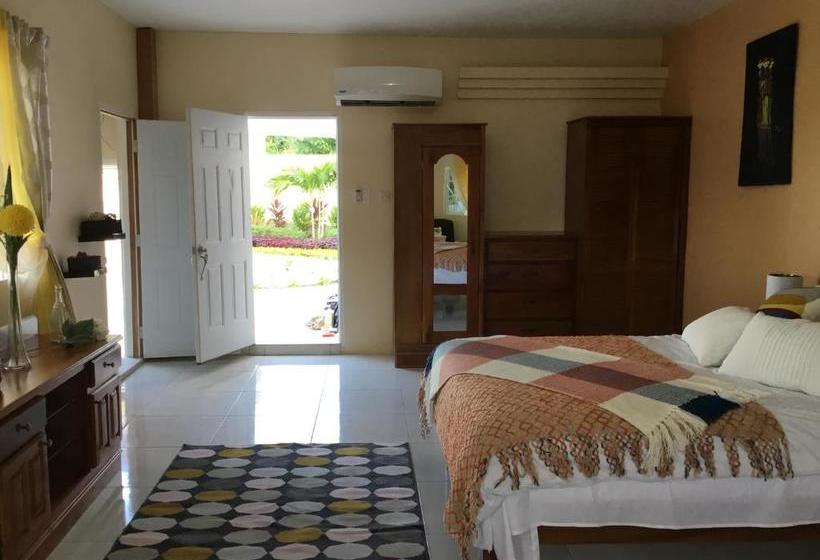 پانسیون Cool Breeze Discovery Bay