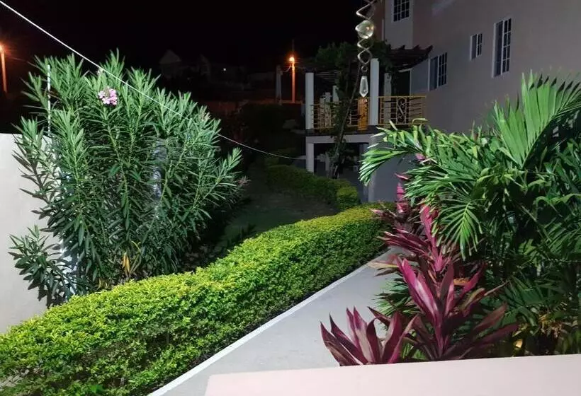 پانسیون Cool Breeze Discovery Bay