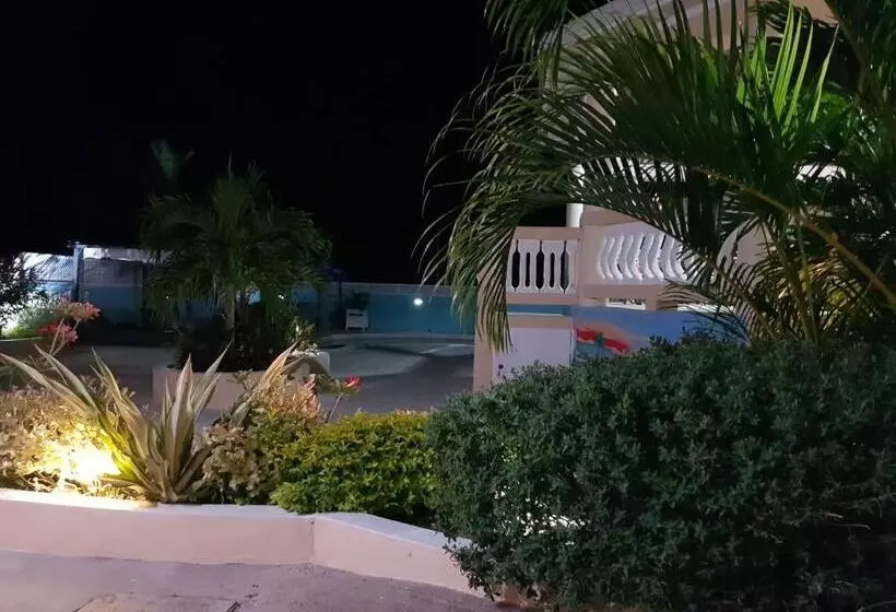 پانسیون Cool Breeze Discovery Bay