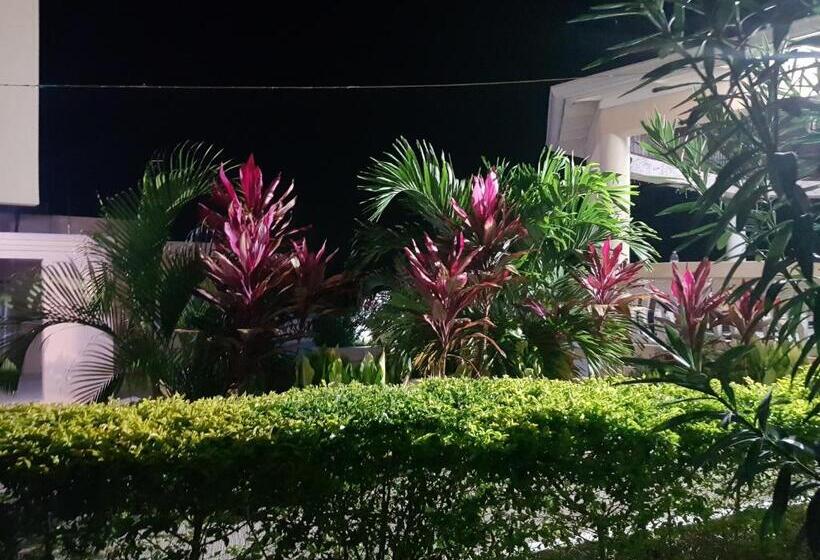 پانسیون Cool Breeze Discovery Bay