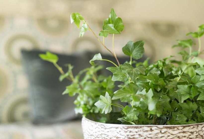 فندق Ayres Suites Diamond Bar