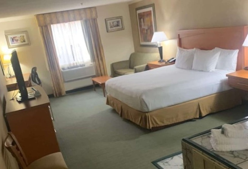 فندق Best Western Davison Inn