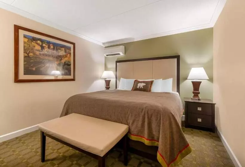 Hotelli Best Western Plus White Bear Country Inn