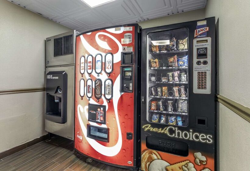 בית מלון כפרי Comfort Inn South