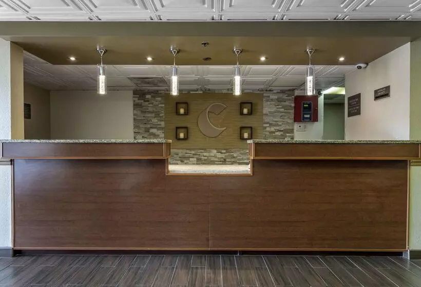 فندق Comfort Inn South