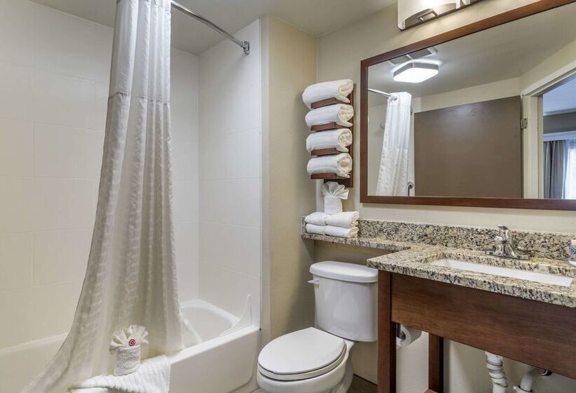 בית מלון כפרי Comfort Inn South