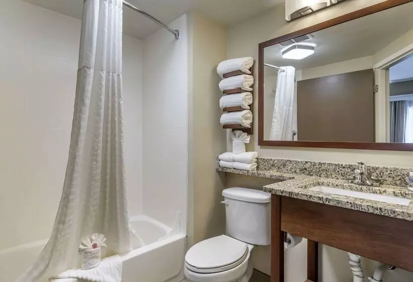 فندق Comfort Inn South