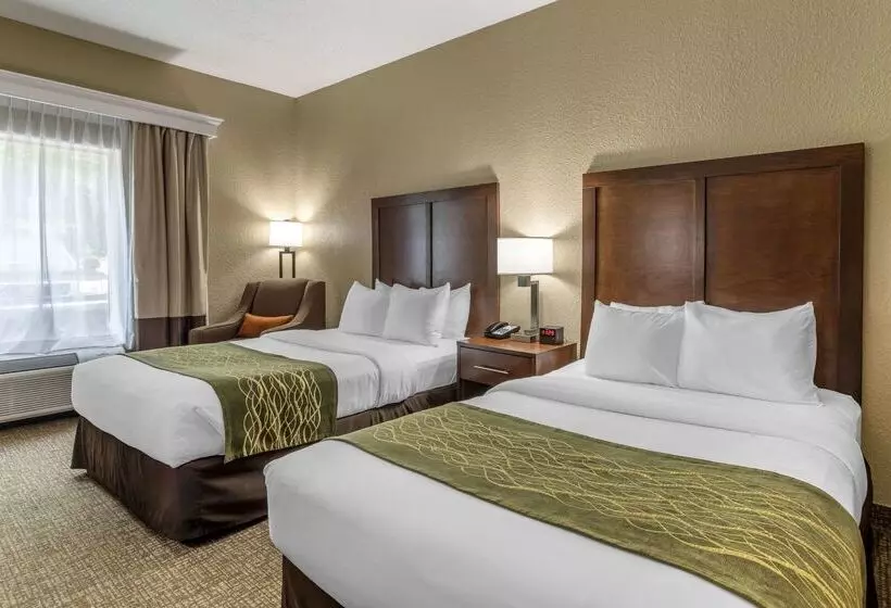فندق Comfort Inn South