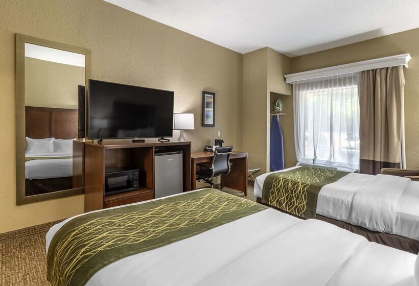 בית מלון כפרי Comfort Inn South