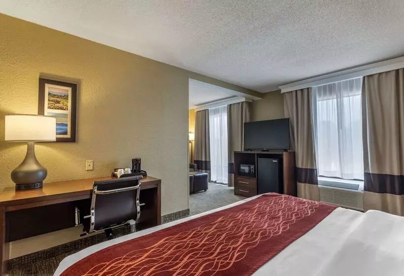 فندق Comfort Inn South
