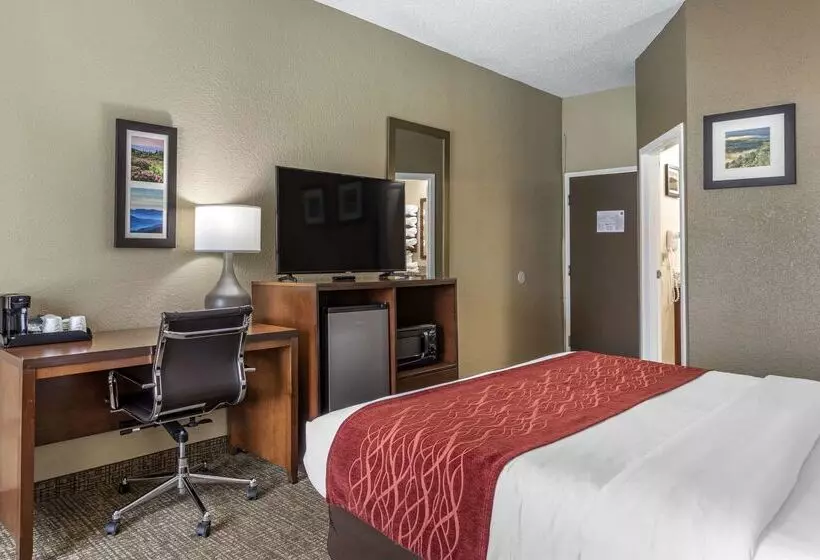 فندق Comfort Inn South