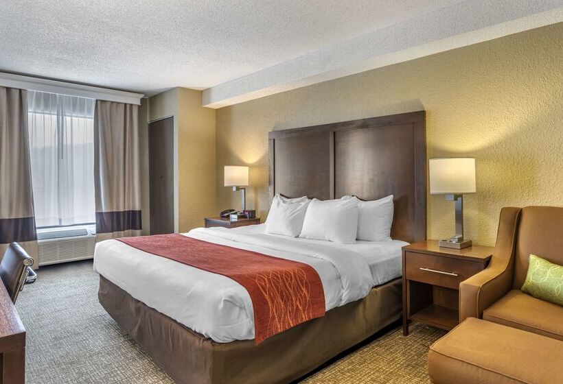 בית מלון כפרי Comfort Inn South