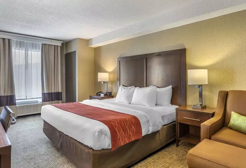 فندق Comfort Inn South