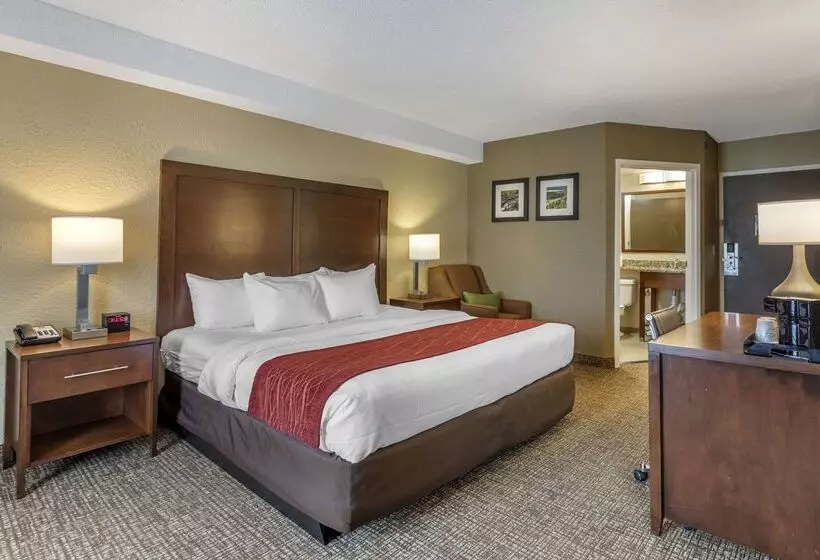 فندق Comfort Inn South