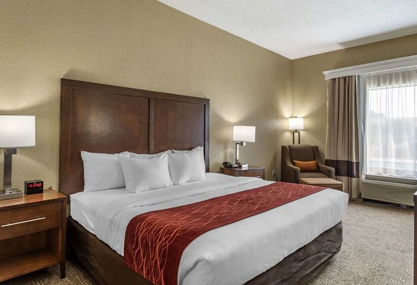 בית מלון כפרי Comfort Inn South