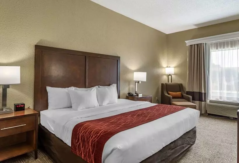 فندق Comfort Inn South