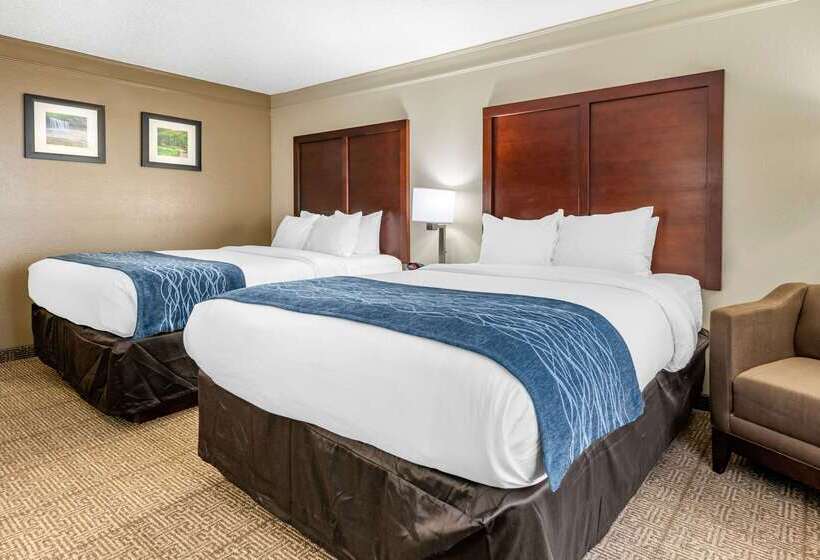 酒店 Comfort Inn & Suites