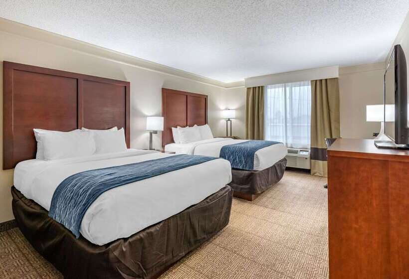 酒店 Comfort Inn & Suites