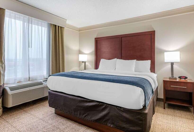 酒店 Comfort Inn & Suites