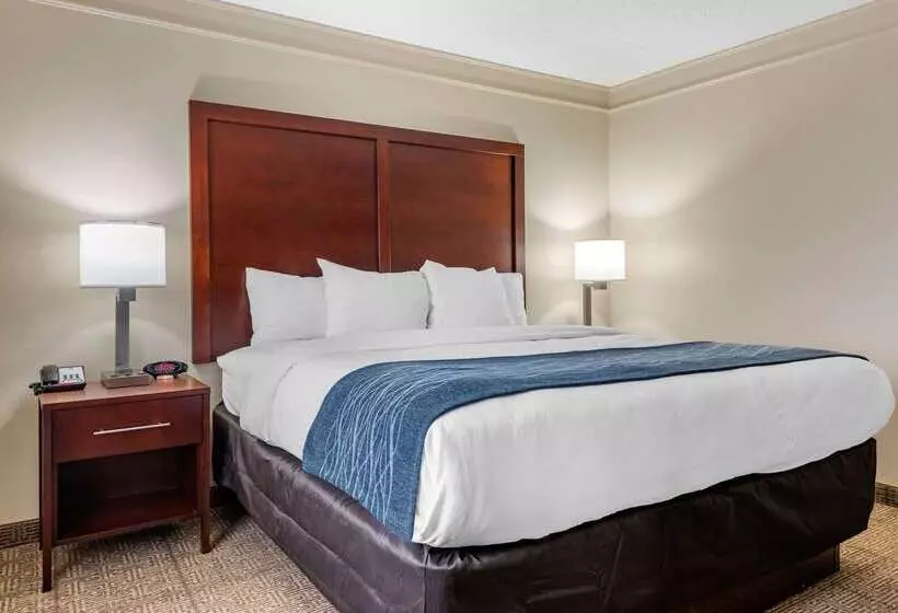 호텔 Comfort Inn & Suites
