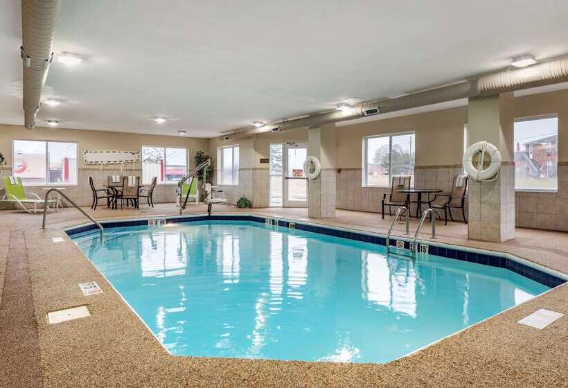 酒店 Comfort Inn & Suites