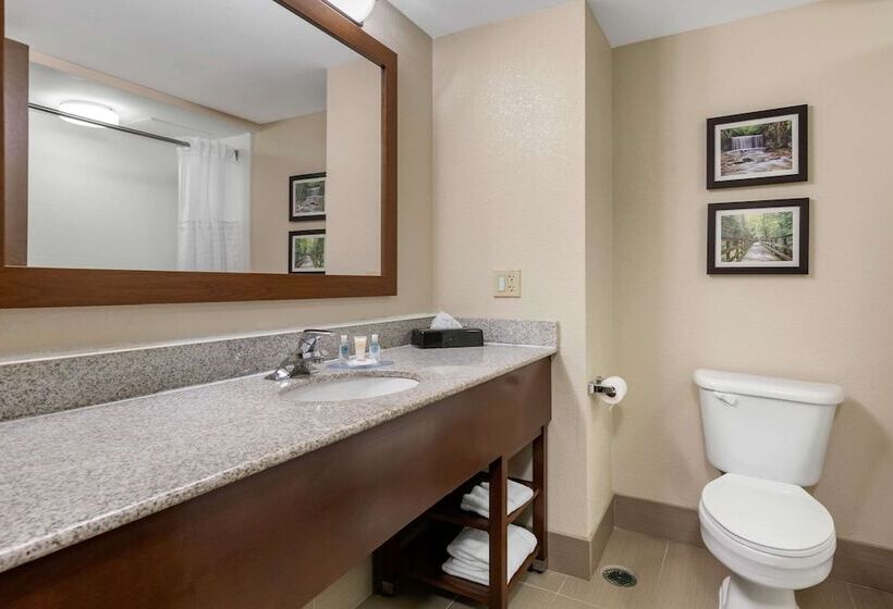 酒店 Comfort Inn & Suites