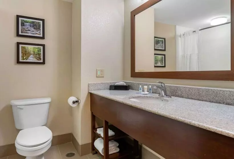 호텔 Comfort Inn & Suites