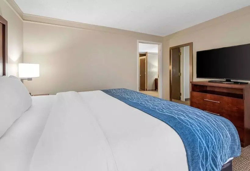 호텔 Comfort Inn & Suites